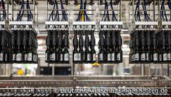 Veltins trotzt Markttrend: Brauerei verkauft so viel Bier wie noch nie