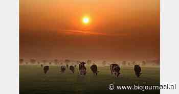"Belangrijk om voorzorgsmaatregelen mond-en-klauwzeer serieus te nemen"