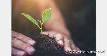 Internationale biologische beweging stelt verklaring op: 'Elevating truly regenerative agriculture'