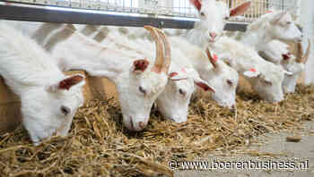 Tweede MKZ-verdacht bedrijf geruimd bij Berlijn