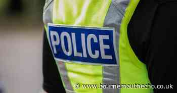 Police officer said 'I had a poo and it's as big as a baby'