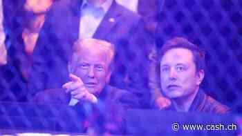 Einknicken der Tech-Oligarchen? Auch Apple-CEO an Amtseinführung von Trump