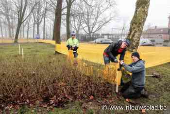 Zesde editie veldritspektakel Heicross: “Hele familie kan zich uitleven op ons parcours tussen de kerk en het station”