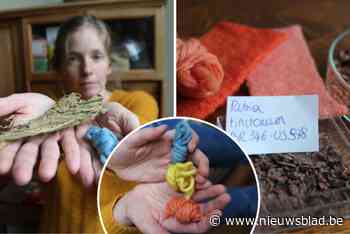 Archeologen ontdekken unieke verfplanten in Mechelse Melaan: “Ze vormden basis voor primaire kleuren in lakenindustrie”