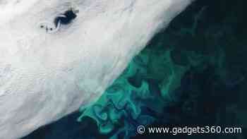 Satellite Captures Svalbard Bear Island's Rare Cloud Formations and Algal Bloom