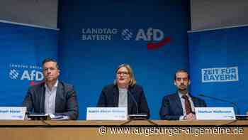 Bayerische AfD will alle Ukrainer sofort abschieben
