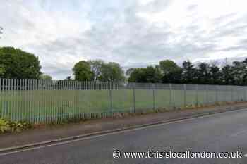 Unused Richmond field set to be transformed into park with mini forest