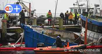 Gesunkener Kutter im Ostsee-Hafen: Huckepack soll es nach Kiel gehen