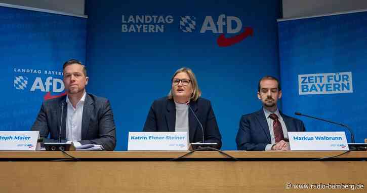AfD will Deutschpflicht in Moscheen und erwägt Grenzzäune