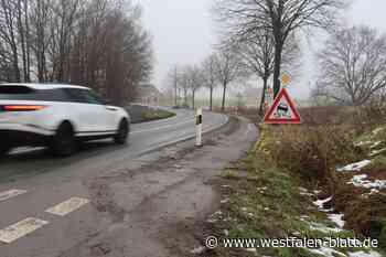 Arbeiten an Wertherstraße in Spenge sollen 2025 beginnen