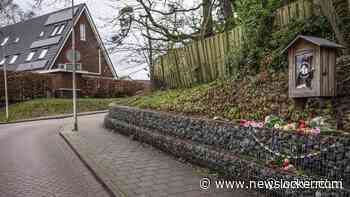 Verdachte van doodsteken 76-jarige vrouw in Den Dolder blijft 90 dagen langer vast