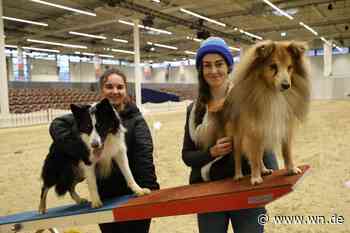 „Doglive“ öffnet am Wochenende Pforten für Pfoten und Füße