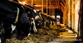 Gelderland stopt verlenen natuurvergunningen om stikstofuitspraak