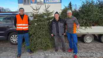 Siebte Christbaum-Abholaktion in der Schwaighofsiedlung