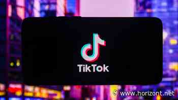 3 Creator to watch: Diese TikToker haben im Dezember für Aufsehen gesorgt