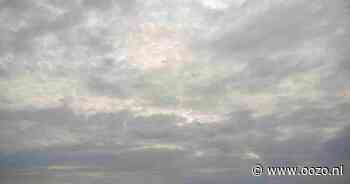 Grijze wereld door mist of mistflarden in Landsmeer in de middag