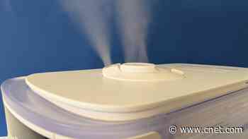How a Humidifier Can Help You Feel More Comfortable in the Winter