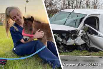 “In een flits was mijn perfecte leven weg”: Hoeseltse dierenarts Aline (26) knokt terug na ongeval