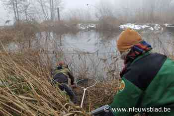 Natuurhulpcentrum doet oproep: “Visdraad opruimen, bespaart veel dierenleed”