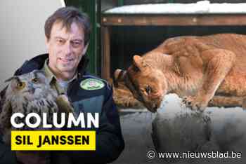 Column. Sneeuwmannen en sneeuwballen in Natuurhulpcentrum