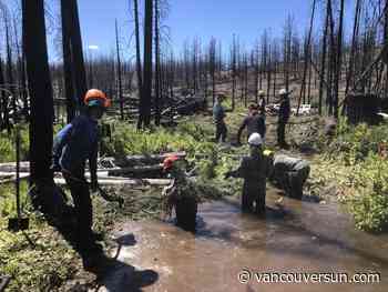 Opinion: B.C. giving away fresh water while funding to fight fires, floods and scarcity dries up 