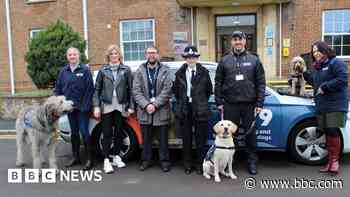 Headlines: Mental health dogs and lorry fire