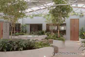 Kim Kneipp's five favourite wellness spaces