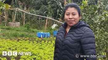 The farm workers heading to US without breaking the law