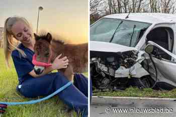 Aline (26) was net begonnen met haar droomjob, toen een zwaar ongeval haar leven op de helling zette: “Elke doktersafspraak komt er slecht nieuws”