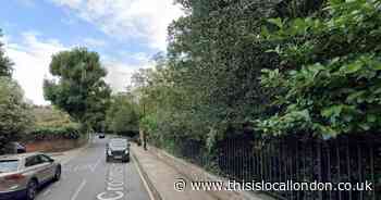 The latest Greenwich planning submissions including tree works and extensions