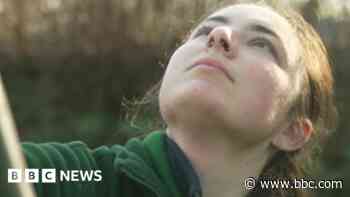 Cotehele House kicks off tree pruning season