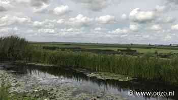 VVD kritisch over toegang Bentwoud