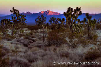 Nevada lawmaker aims at president’s authority to establish national monuments