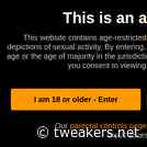 VK verplicht 'robuuste' leeftijdsverificatie voor pornosites