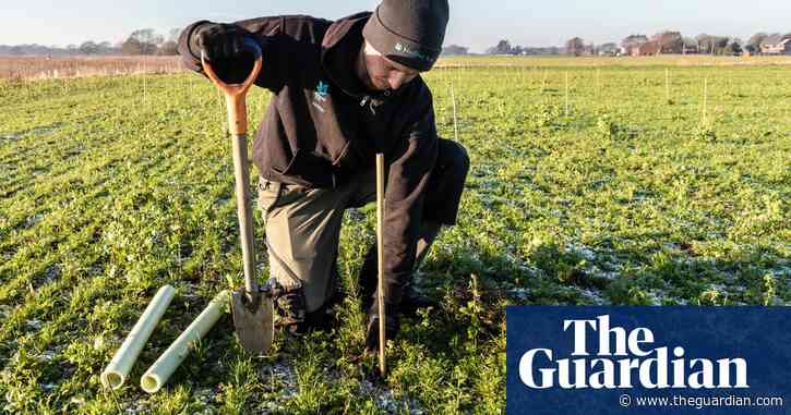 National Trust project to plant almost half a million trees this winter