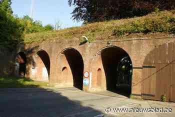 Deel citadel wordt erf: “Maximaal 20 km per uur én correct parkeren”