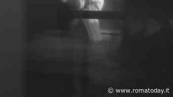 "Romantica", Film Première