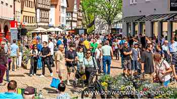 Events und  Termine 2025: Keltenfest und Co – darauf  kann   sich    Nagold     freuen