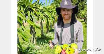 "We hopen dat Brazilië een belangrijke exporteur van dragonfruit wordt"