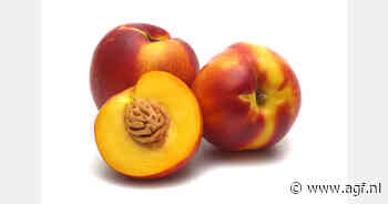 Chileense Verfrut verwacht 20% meer steenfruit te exporteren