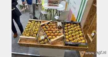 "Toekomst van Rocha peer hangt af van aanpak van twee ziekten"