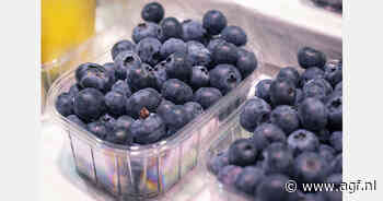 Groenteman ziet toename verkoop verse blauwe bessen