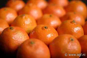 Cannabis tussen mandarijnen in gekantelde truck in Duitsland