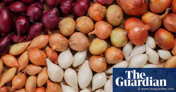 Can’t wait for spring to get growing in the garden? Then make sure you know your onions