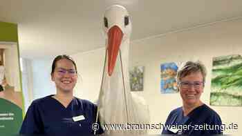 So viele Babys wurden 2024 in Gifhorn geboren