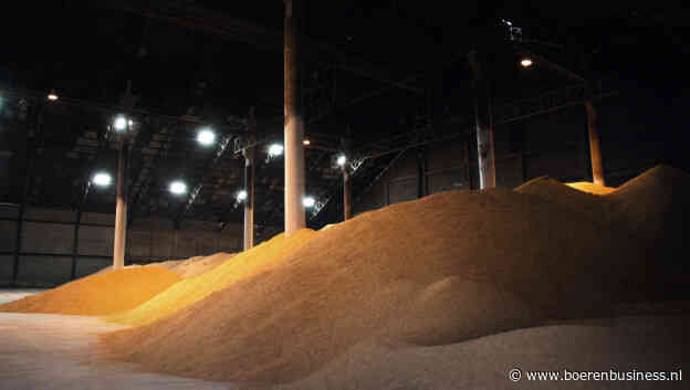 Tarwevoorraad Rusland te optimistisch ingeschat