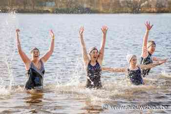 Stad en ijsberenclub Alleman organiseren winterduik in Eglegemvijver: “Achteraf krijg je een kop dampende soep”