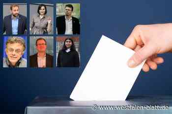 Sie wollen für den Wahlkreis Hameln-Pyrmont/Holzminden in den Bundestag