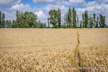 Secondary legislation for precision-bred crops welcomed by major project