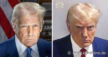 Präsidenten-Portrait erinnert an Trumps Polizeifoto